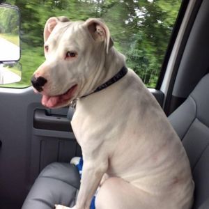 Meet your Posher, Jeff